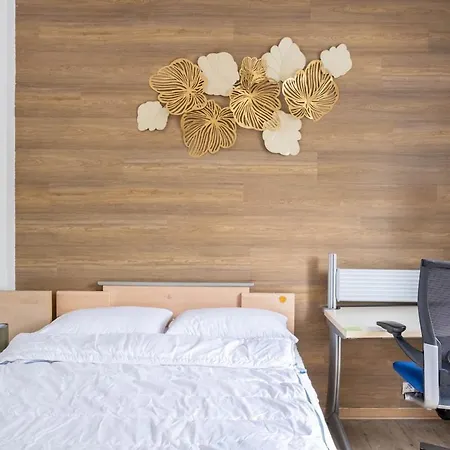 Daire Grande Maison Entiere Rer B Direct Paris & Orly *